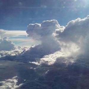 Meet your Posher, Tricia